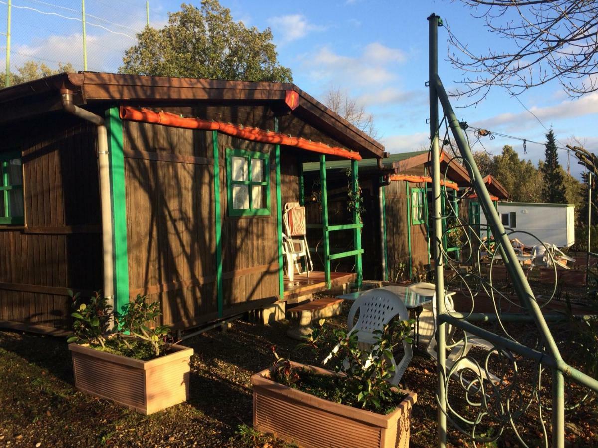Camping Le Soline Casciano Di Murlo Exterior foto